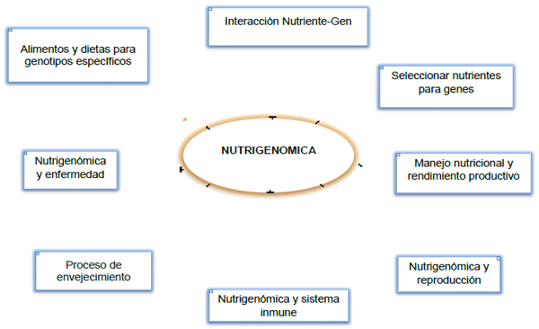 Nutrigenómica y Nutrigenética: Una Realidad en la Nutrición y Salud Animal' - Image 3