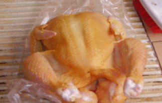 Utilización del fruto de palma de aceite en la alimentacion de pollos de engorde en fase de finalizacion - Image 7