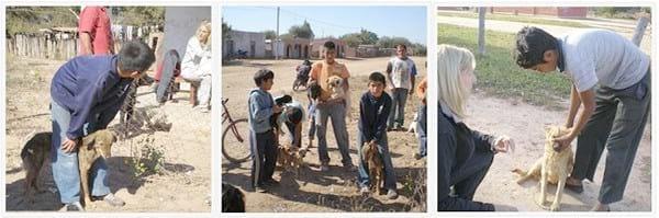 Determinación de la Prevalencia de las Parasitosis en Zona Urbana y Rural (Impenetrable chaqueño) de la localidad de Taco Pozo, Chaco. - Image 2
