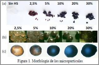 Preparación y caracterización de micropartículas de harina de sangre y alginato de sodio - Image 1
