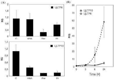 Caracterización de proteínas de transferencia de lípidos (ltps) en Lotus Japonicus: regulación y señalización hormonal durante estrés hídrico. - Image 3