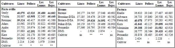 Evaluación productiva de cultivares de pasto ovillo (Dactylis Glomerata L.), bromo (Bromus Spp.) y Festuca (Festuca Arundinacea S.) en el sur de Chile - Image 1