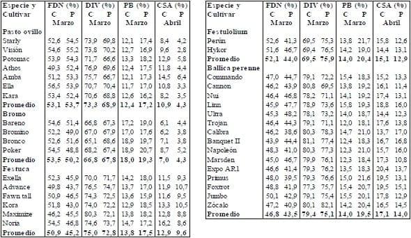 Prospección de la calidad de cultivares de pasto Ovillo, Bromo, Festuca, Festulolium y Ballica Perenne en el sur de Chile. - Image 1