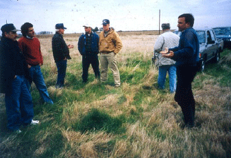 Rejuvenecimiento de las alfalfas, al 20 años de aquella experiencia - Image 11