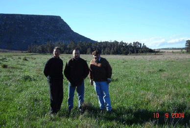 Rejuvenecimiento de las alfalfas, al 20 años de aquella experiencia - Image 33