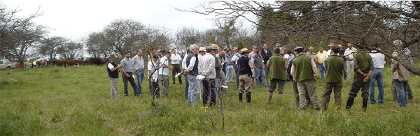 Rejuvenecimiento de las alfalfas, al 20 años de aquella experiencia - Image 25