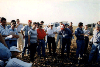 Rejuvenecimiento de las alfalfas, al 20 años de aquella experiencia - Image 35