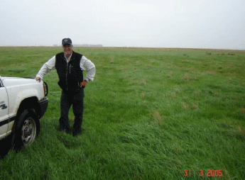 Rejuvenecimiento de las alfalfas, al 20 años de aquella experiencia - Image 30