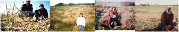 Rejuvenecimiento de las alfalfas, al 20 años de aquella experiencia - Image 51