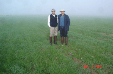 Rejuvenecimiento de las alfalfas, al 20 años de aquella experiencia - Image 48