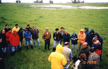 Rejuvenecimiento de las alfalfas, al 20 años de aquella experiencia - Image 46
