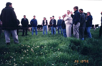 Rejuvenecimiento de las alfalfas, al 20 años de aquella experiencia - Image 9