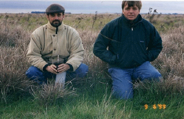 Rejuvenecimiento de las alfalfas, al 20 años de aquella experiencia - Image 39