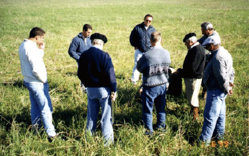 Rejuvenecimiento de las alfalfas, al 20 años de aquella experiencia - Image 14