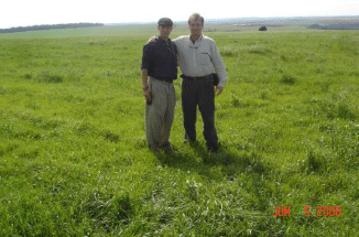 Rejuvenecimiento de las alfalfas, al 20 años de aquella experiencia - Image 22