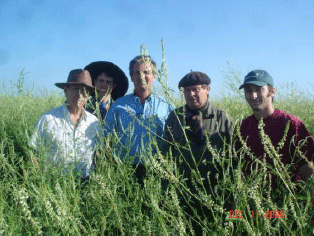 Rejuvenecimiento de las alfalfas, al 20 años de aquella experiencia - Image 27