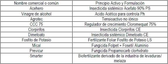 Comparación de diferentes modelos de aplicación de tecnologías en la producción de pimiento seco para pimentón (Capsicum annuum L.) en el área de riego de Santiago del Estero, Argentina - Image 12