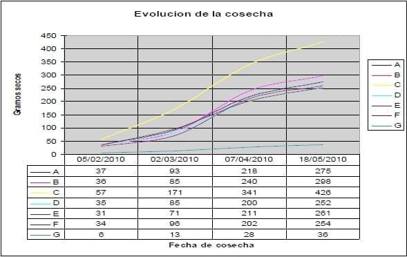 Comparación de diferentes modelos de aplicación de tecnologías en la producción de pimiento seco para pimentón (Capsicum annuum L.) en el área de riego de Santiago del Estero, Argentina - Image 19