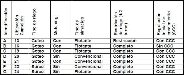 Comparación de diferentes modelos de aplicación de tecnologías en la producción de pimiento seco para pimentón (Capsicum annuum L.) en el área de riego de Santiago del Estero, Argentina - Image 1