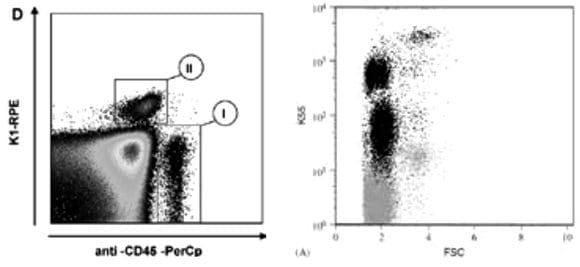 Valores de referencia de linfocitos T y B por Citometría de Flujo para gallinas SPF y gallinas de postura comercial - Image 2