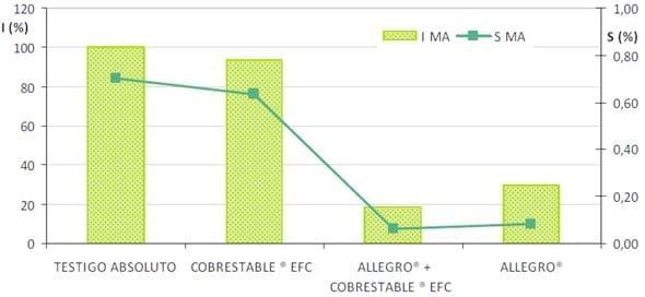 Evaluación del efecto de un fungicida-bactericida en el control de las bacteriosis del trigo - Image 6
