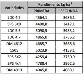 Evaluación comparativa de rendimiento de variedades de soja sembradas en dos fechas de siembra - Image 6
