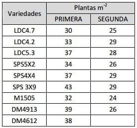 Evaluación comparativa de rendimiento de variedades de soja sembradas en dos fechas de siembra - Image 4