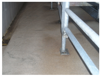 Tipos de suelos en las instalaciones de vacuno lechero - Image 22