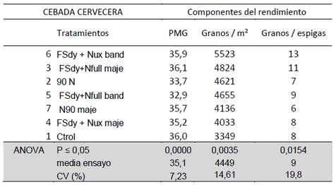 Efecto de aplicación de Micronutrientes y Nitrógeno en Cebada Cervecera y Trigo Pan - Image 5