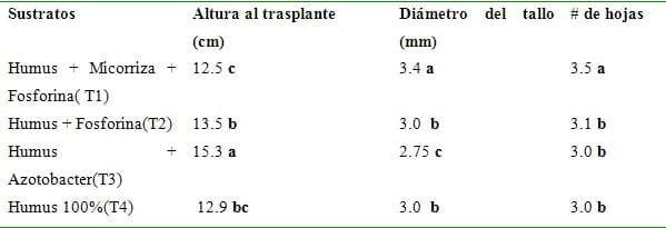 Alternativa para el manejo de produccion de postura de tomate en cepellon, mediante el uso de biofertilizante - Image 2