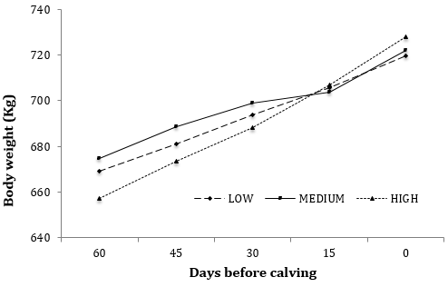 Efecto del nivel de energía neta en el consumo de alimento y cambios de peso de vacas HOLSTEIN-FRIESIAN durante el periodo seco de 60 días - Image 3