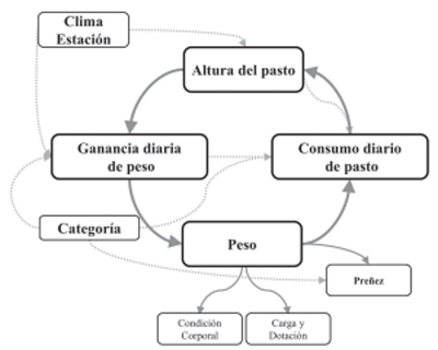 Modelización de una explotación ganadera extensiva criadora de basalto - Image 1