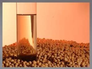Biodiesel derivado de la soja: ¿Tiene futuro en los Estados Unidos? - Image 1