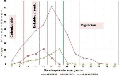Comportamiento y estrategias en la reducción de la epidemia del virus de la hoja blanca en norte de Santander - Image 10