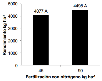 Efecto de tratamientos de semilla de trigo con raisan según estrategia de fertilización con nitrógeno - Image 8