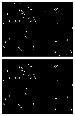Utilización de momentos estadísticos y redes neuronales en la clasificación de cabezas de espermatozoides de verraco - Image 4