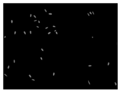 Utilización de momentos estadísticos y redes neuronales en la clasificación de cabezas de espermatozoides de verraco - Image 5