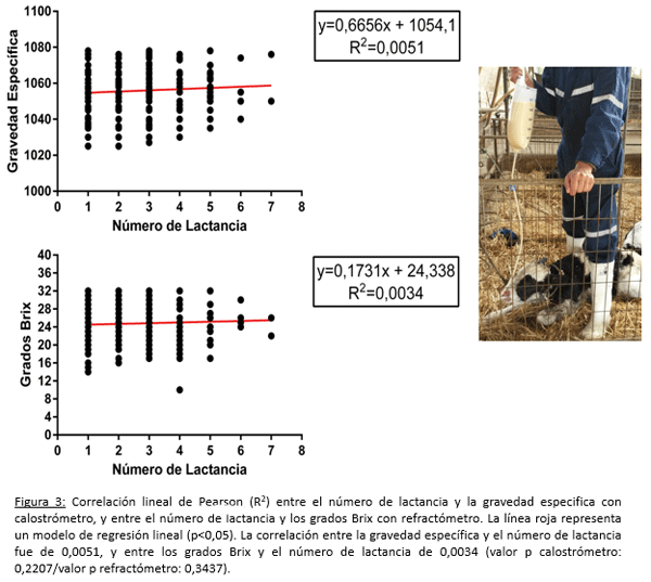 Evaluación en terreno de la calidad del calostro en vacas de lecherías de alta producción, medido a traves de dos métodos - Image 4
