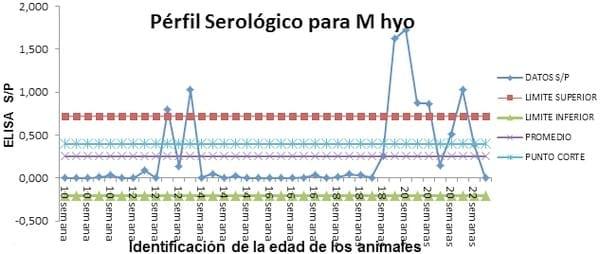 Utilizacion de la Serologia de ELISA contra Mycoplasma hyopneumoniae para evaluar su incidencia a diferentes edades de los Cerdos - Image 3