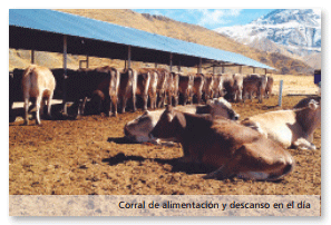 Tambo Queque Norte:donde la altitud y la ganadería tecnificada conviven - Image 3