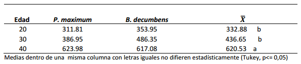 Biomasa forrajera y degradabilidad in situ de los pastos Saboya (Panicum maximun) y Brachiaria (Brachiaria decumbens), en tres estados fenológicos, en el cantón La Concordia, provincia Santo Domingo de los Tsáchilas, Ecuador - Image 6