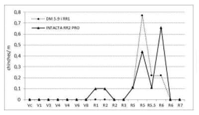 Cultivo de soja Bt (RR2 PRO) y convencional (RR1) expuestos a poblaciones naturales de organismos plaga y depredadores - Image 6