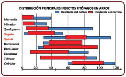 Muestreo de insectos y daños en el cultivo del arroz en Colombia - Image 1