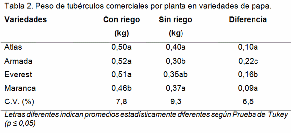 Influencia de la sequia en el numero y peso de tuberculos comerciales en variedades de Papa (Solanum tuberosum L.) - Image 3