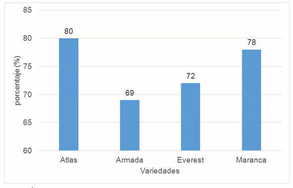 Influencia de la sequia en el numero y peso de tuberculos comerciales en variedades de Papa (Solanum tuberosum L.) - Image 2