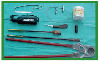 Manual de anestesias y cirugías de bovinos: Cirugías de cabeza, cuello y torax - Image 1