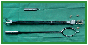 Manual de anestesias y cirugías de bovinos: Cirugías del aparato reproductor de la hembra - Image 39