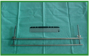 Manual de anestesias y cirugías de bovinos: Cirugías aparato reproductor del macho - Image 26