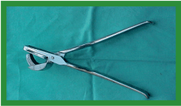 Manual de anestesias y cirugías de bovinos: Cirugías aparato reproductor del macho - Image 38