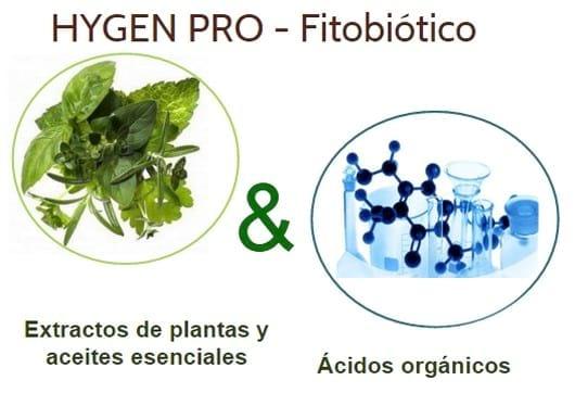 Fitobiótico: La fórmula para conseguir el máximo beneficio en producción animal - Image 7
